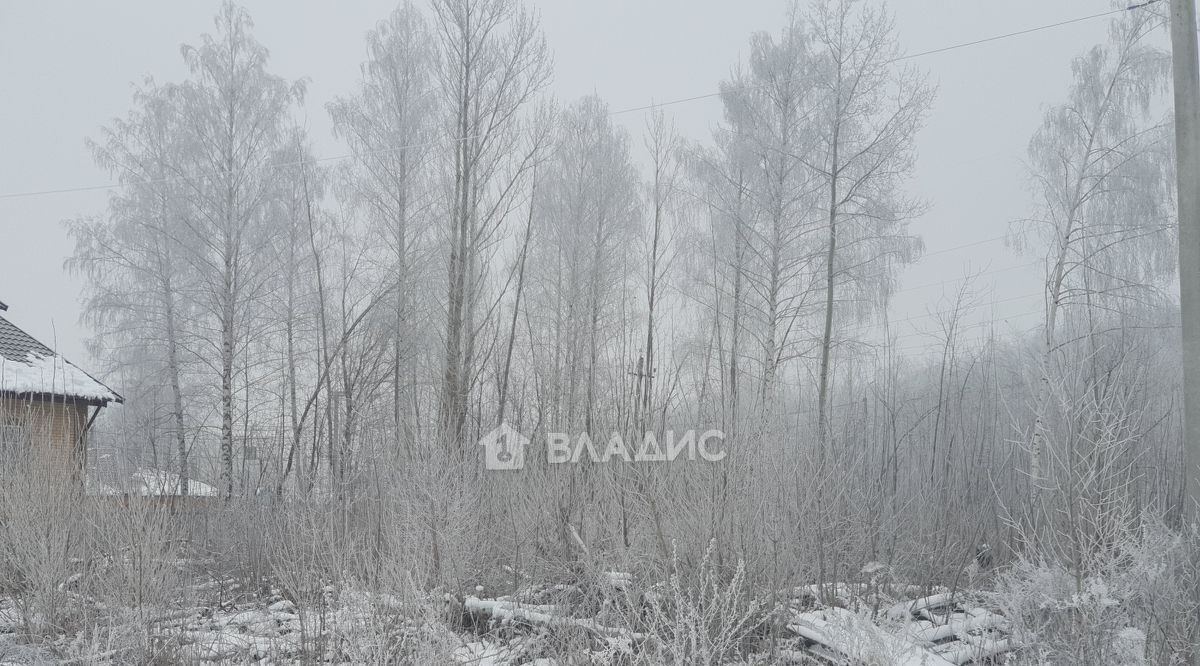 земля г Тамбов р-н Октябрьский Радужный ул Липовая 48 фото 2