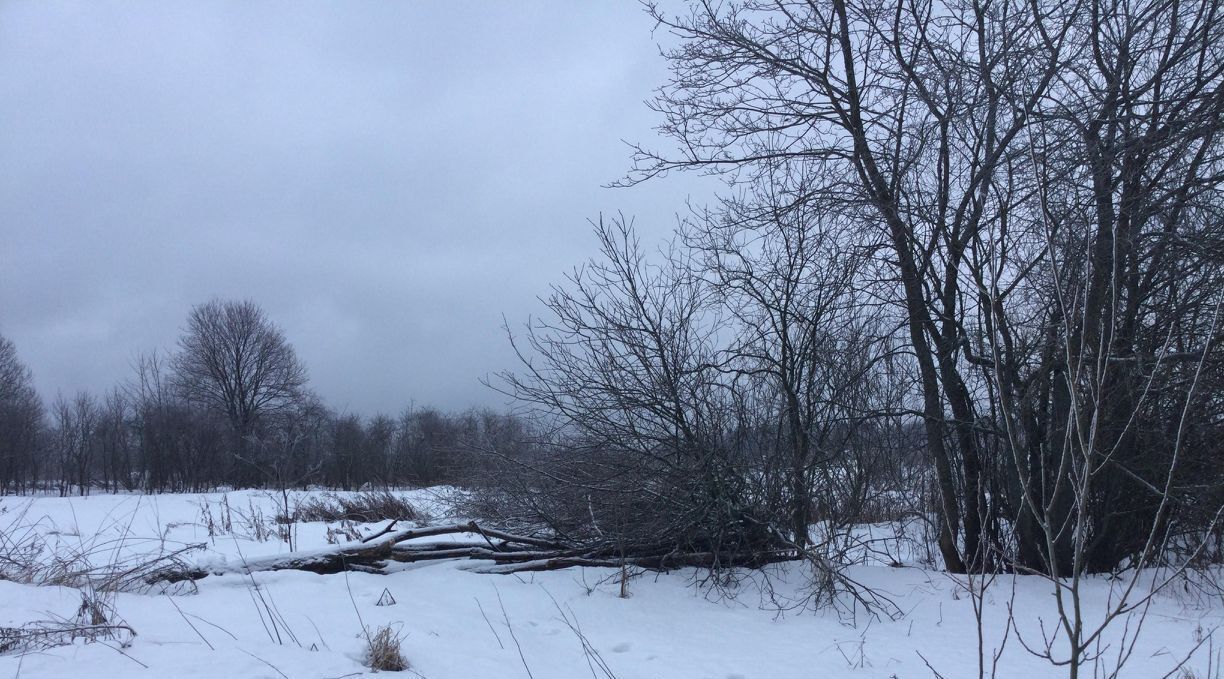 офис городской округ Сергиево-Посадский д Шарапово фото 1