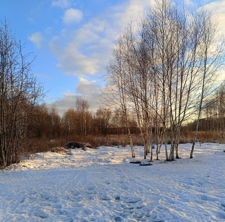 офис городской округ Павловский Посад Электрогорск фото 1