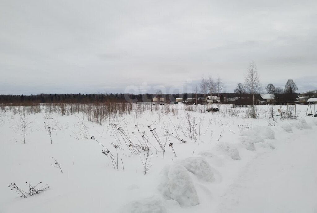 земля р-н Оршанский Великопольское сельское поселение, посёлок Ильинка фото 7