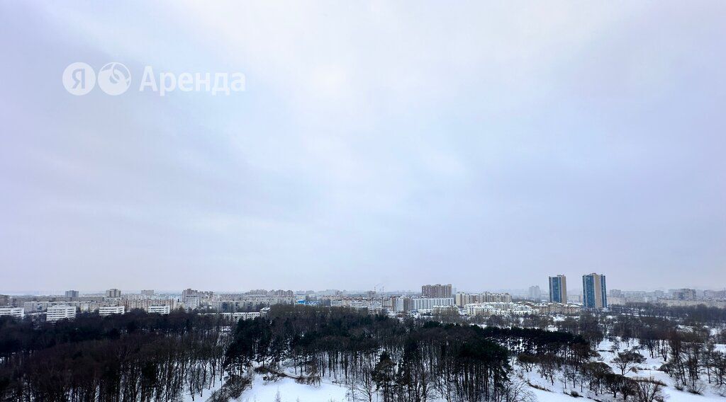 квартира г Санкт-Петербург метро Проспект Ветеранов ул Лёни Голикова 29к/8 округ Дачное фото 16