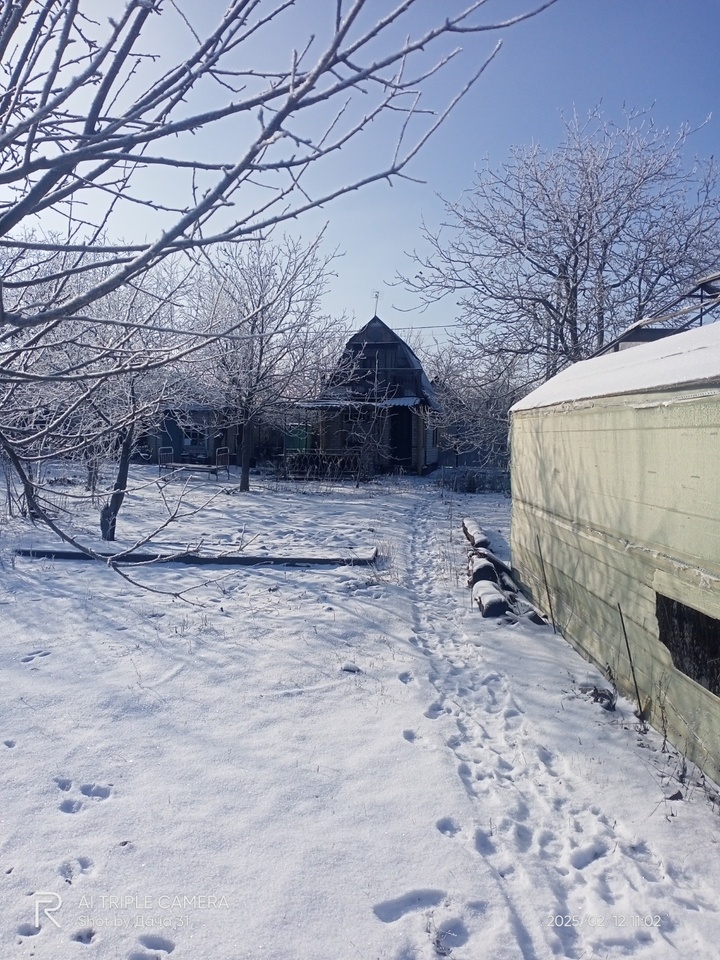 дом р-н Белгородский п Северный садовое товарищество Дружба фото 17