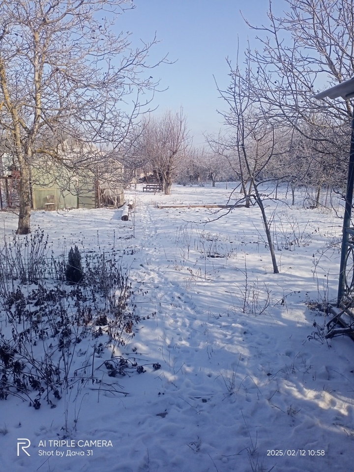 дом р-н Белгородский п Северный садовое товарищество Дружба фото 21