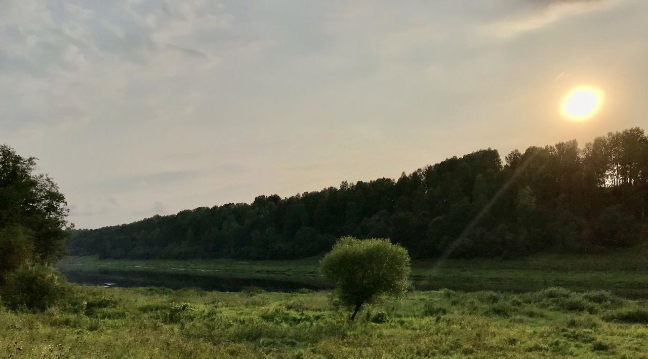 земля р-н Старицкий снт тер."Ивановское" ул Лесная фото 12