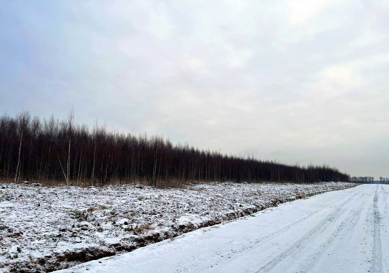 земля городской округ Раменский д Бритово 28 км, Раменское, Рязанское шоссе фото 6