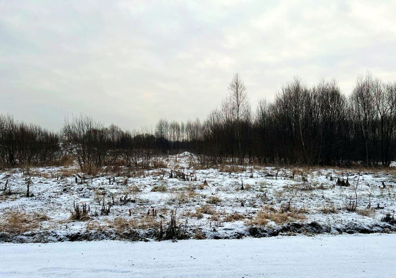 земля городской округ Раменский д Бритово 28 км, Раменское, Рязанское шоссе фото 9