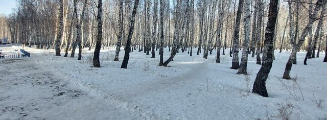 ЖК «Горизонт» Центральный административный округ фото