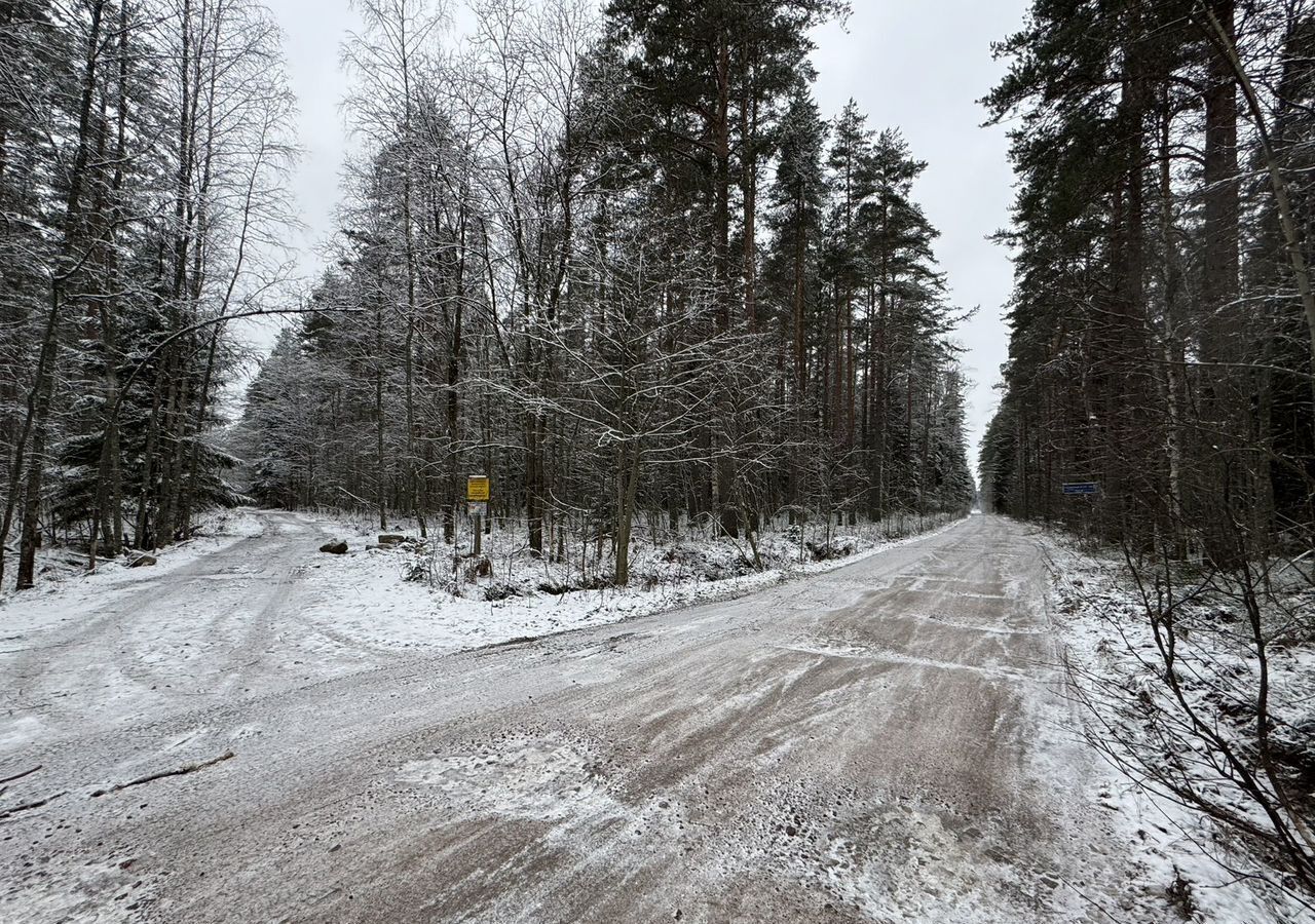 земля р-н Выборгский п Красная Долина Приморское шоссе, 44 км, Полянское сельское поселение фото 13