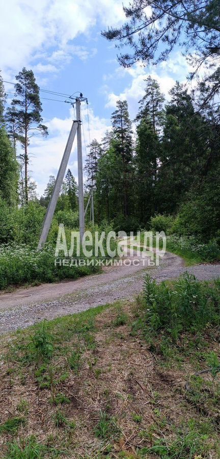 земля р-н Приозерский дп Массив Ремесленник снт терАлександринка Трасса Сортавала, 99 км, Ларионовское сельское поселение, Приозерск фото 1