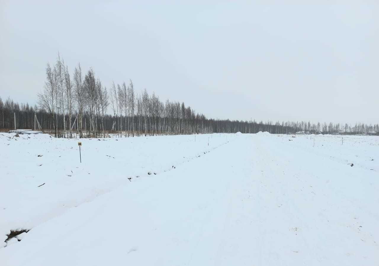 земля р-н Всеволожский п Кузьмоловский ш Ленинградское 5 км, Бугровское городское поселение, садоводческий массив Капитолово фото 1