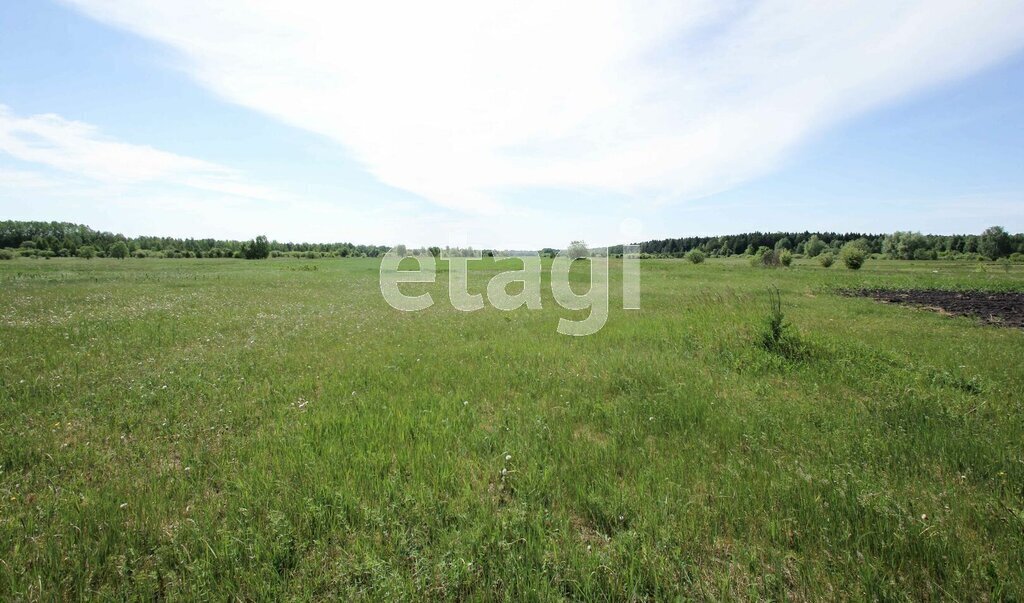 дом р-н Тобольский с Санниково ул Центральная фото 15