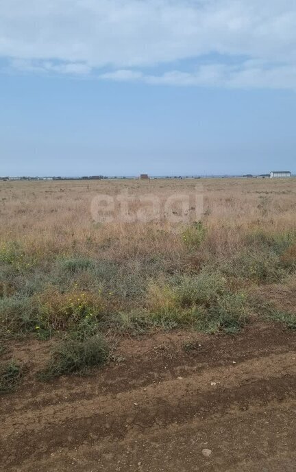 земля Штормовское сельское поселение, Сакский район, садоводческое некоммерческое товарищество Дружба-2 фото 4