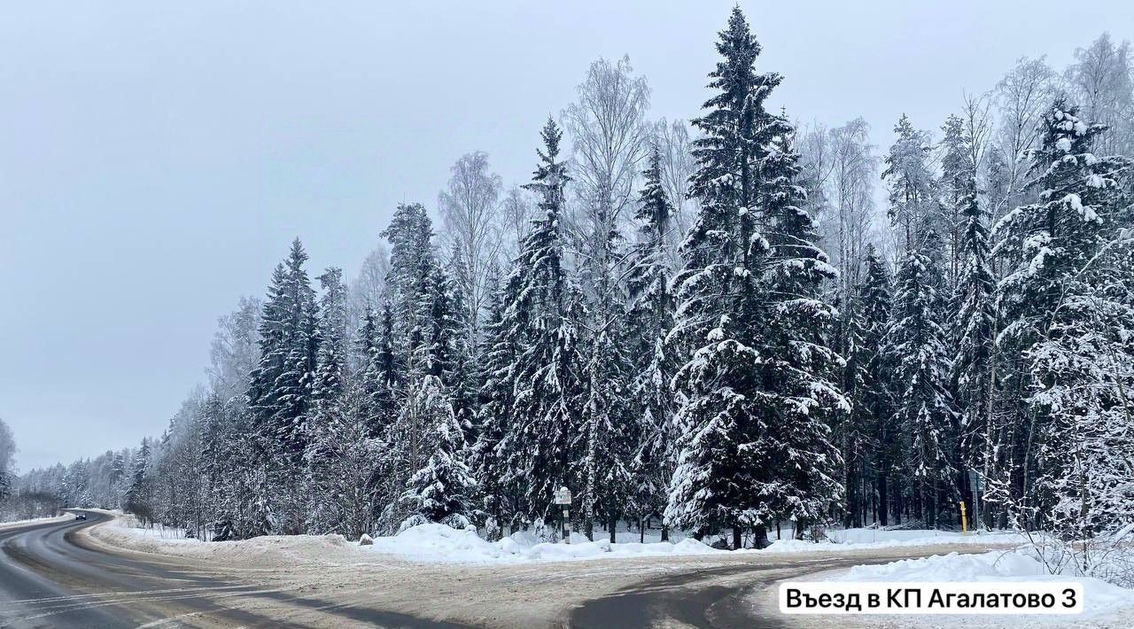 земля р-н Всеволожский д Агалатово Агалатовское с/пос фото 14