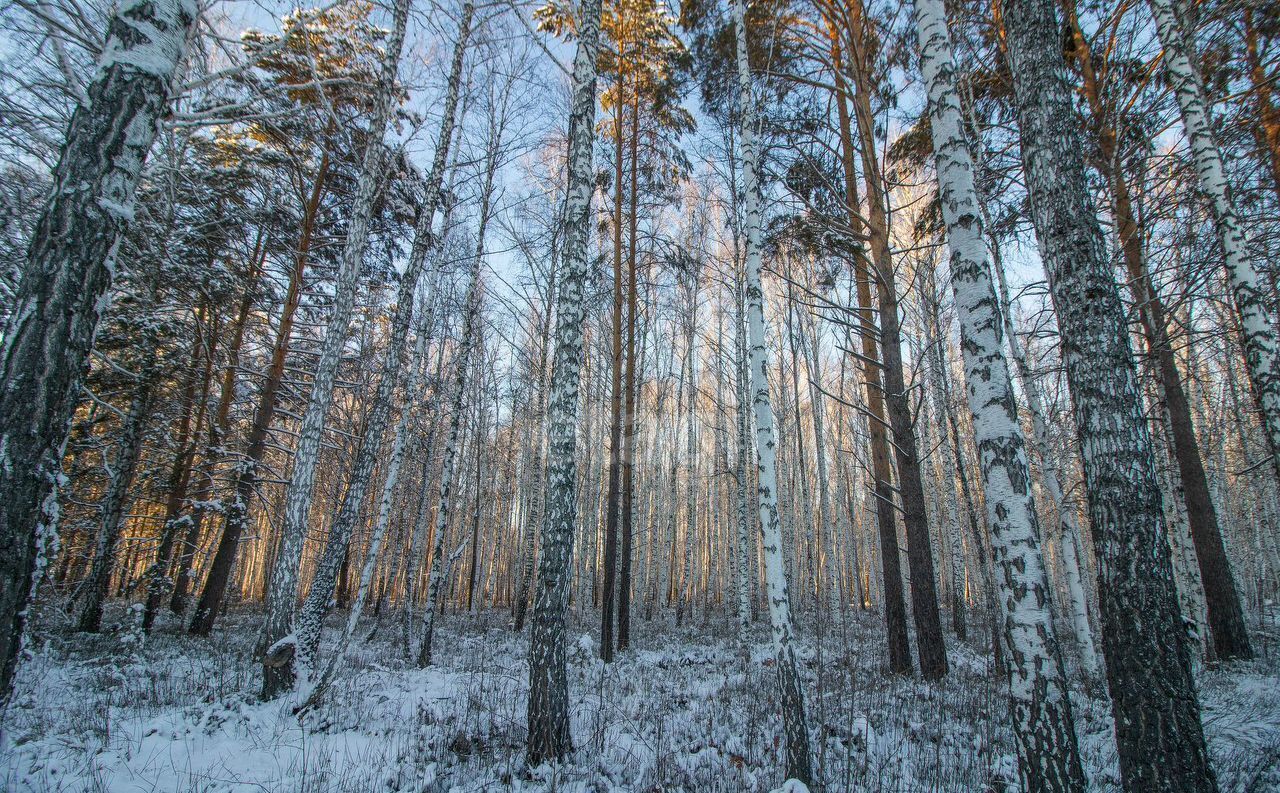 дом г Тюмень снт Самотлор фото 27