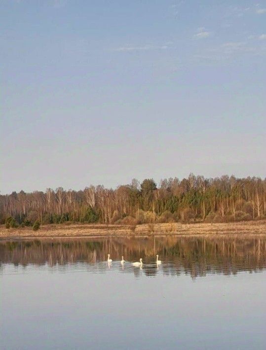 дом р-н Алапаевский п Дружба ул Центральная 1 фото 20