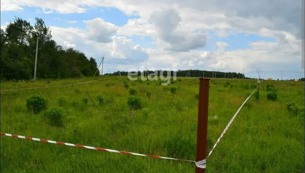 земля р-н Кетовский Курганский лесхоз фото 1