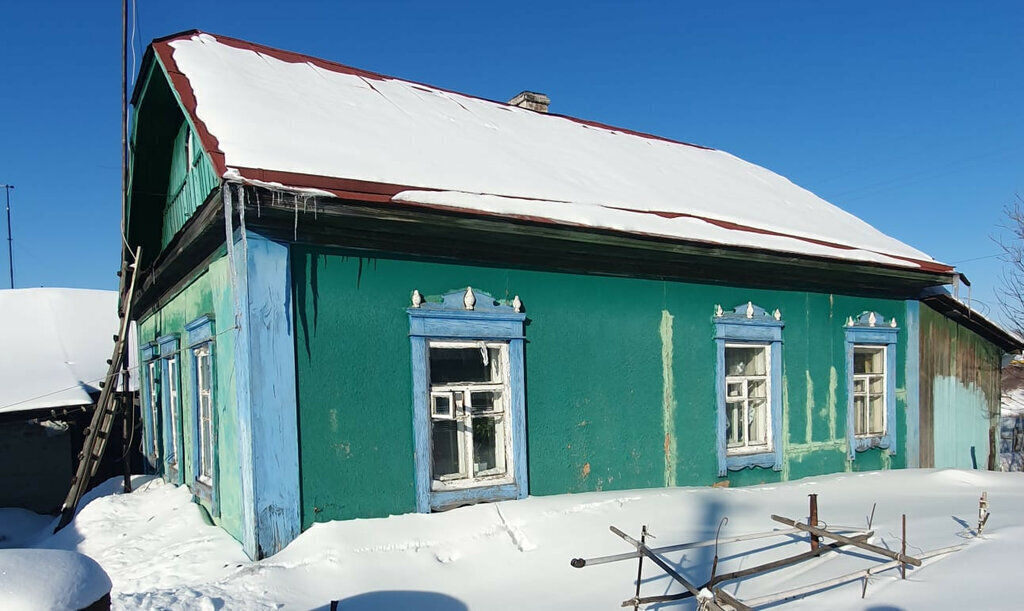 дом г Новосибирск метро Площадь Гарина-Михайловского ул Советская село Раздольное фото 2