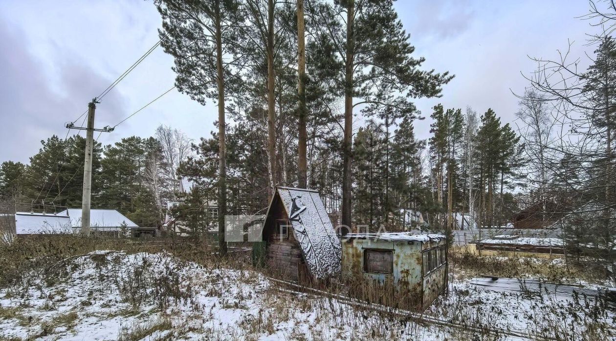 офис р-н Новосибирский Мочищенский сельсовет, ул. Шведова, 37 фото 3