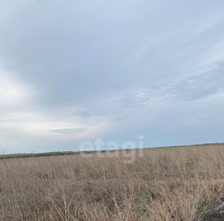 земля р-н Родионово-Несветайский сл Родионово-Несветайская Родионово-Несветайское сельское поселение фото 3