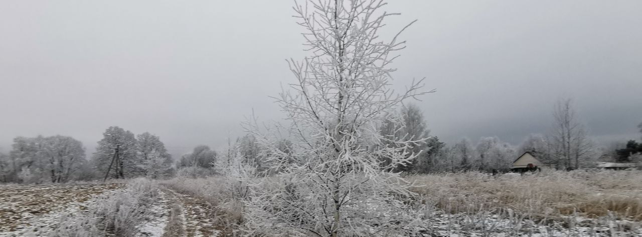 земля городской округ Дмитровский д Акулово фото 3