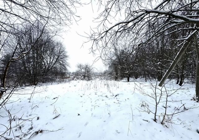 земля д Савочкино ул Центральная 20 6 км, Бугровское городское поселение, Кузьмоловский, Ленинградское шоссе фото