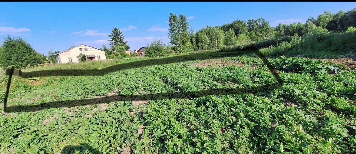 земля р-н Шегарский д Старая Шегарка Шегарское сельское поселение, Мельниково фото 3