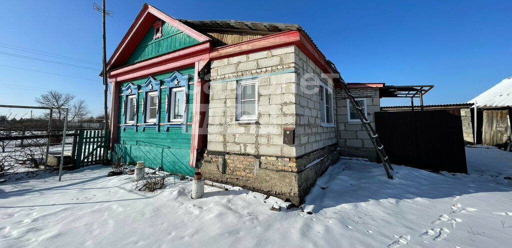 дом р-н Бессоновский д Васильевка ул Дачная 39 фото 1