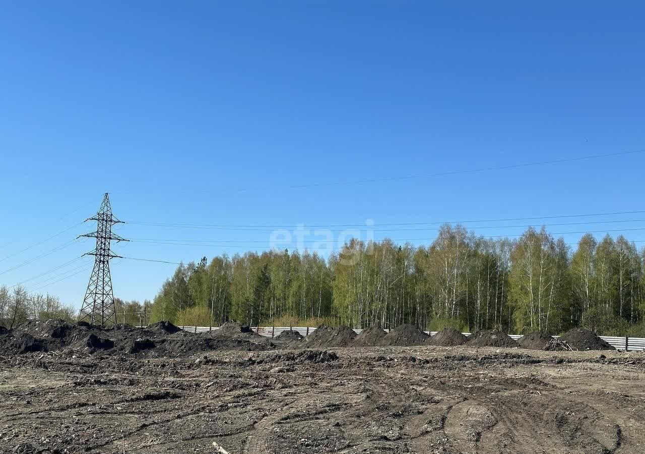 земля р-н Новосибирский с Барышево Новолуговской сельсовет фото 1