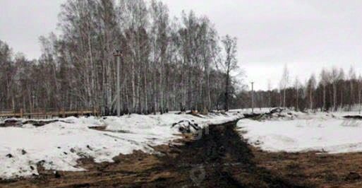 офис р-н Новосибирский п Ленинский Станционный сельсовет фото 4