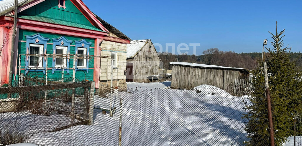 дом р-н Бессоновский д Васильевка ул Дачная 39 фото 3