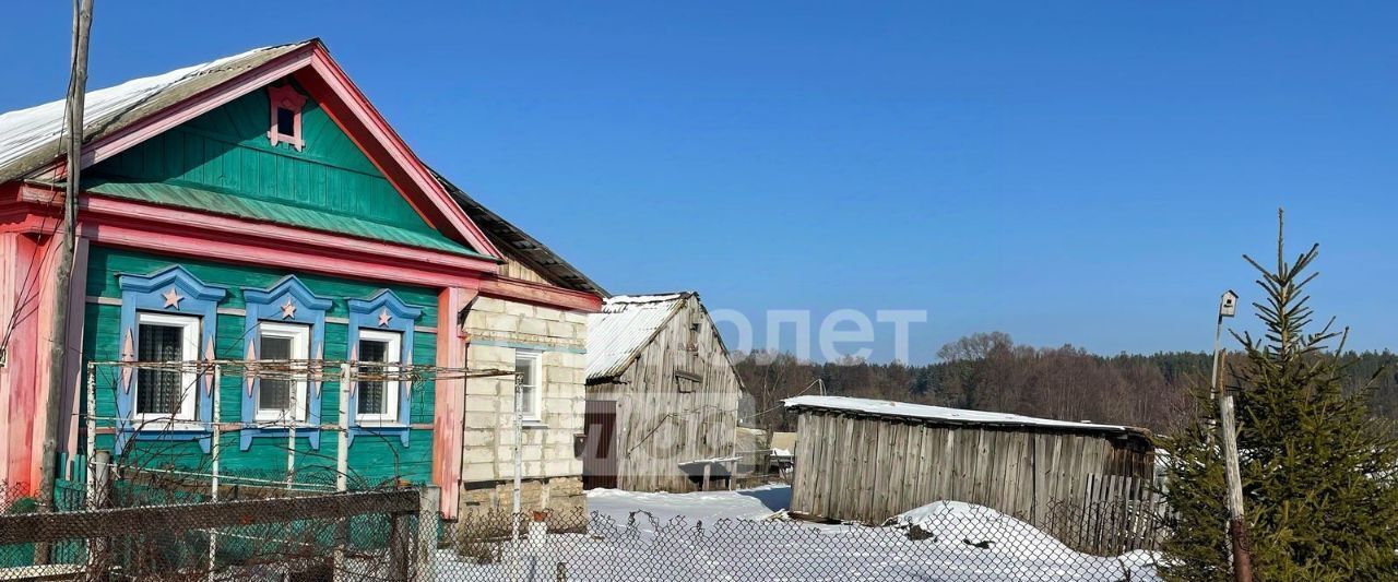 дом р-н Бессоновский д Васильевка ул Дачная 39 фото 4