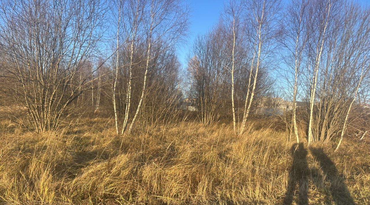 земля городской округ Чехов д Большое Петровское ул Центральная фото 5