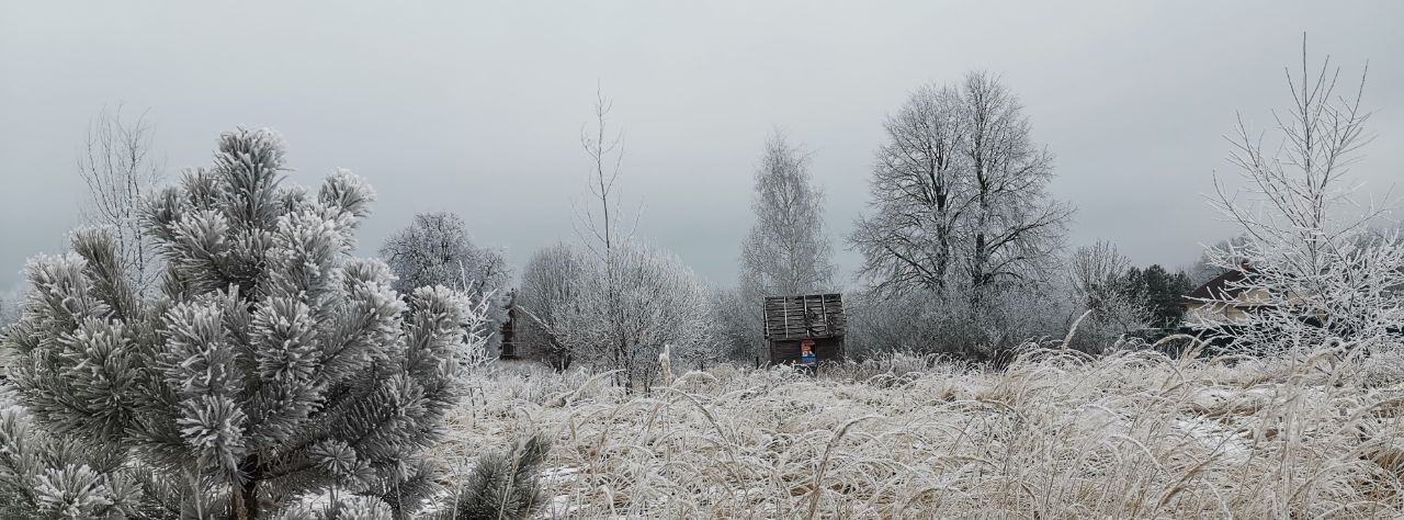 земля городской округ Дмитровский д Акулово фото 4