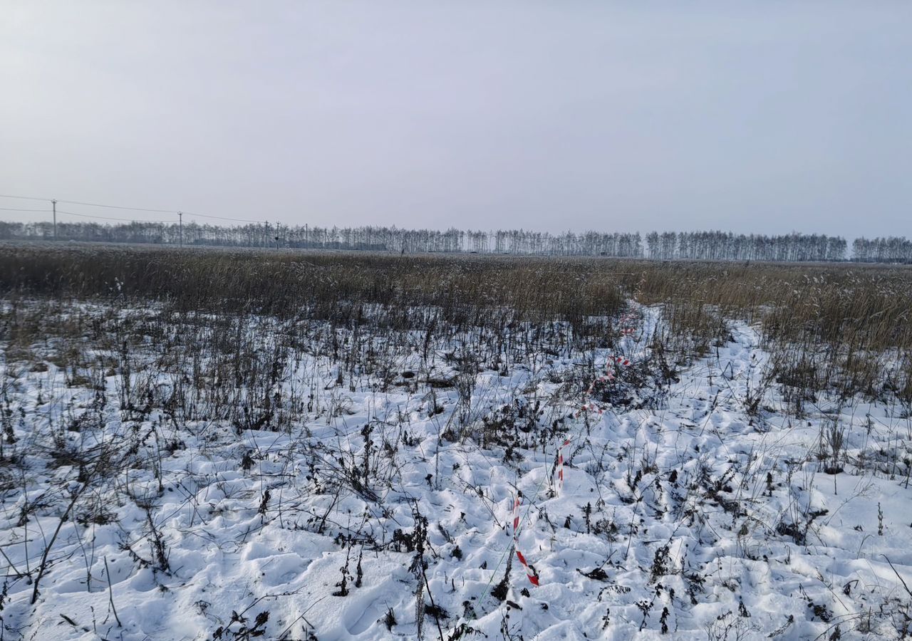 земля р-н Тамбовский с Малиновка 1-я, Виноградная ул., 7, Тамбов фото 3