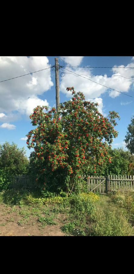 дом г Омск снт Энергия Азовский немецкий р-н, 399 фото 9