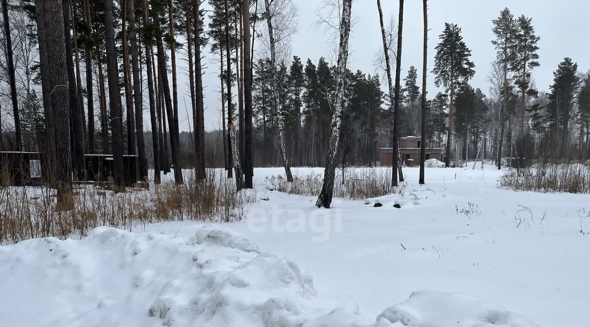 земля р-н Новосибирский тер. ДНТ Царская Усадьба Кубовинский сельсовет фото 3