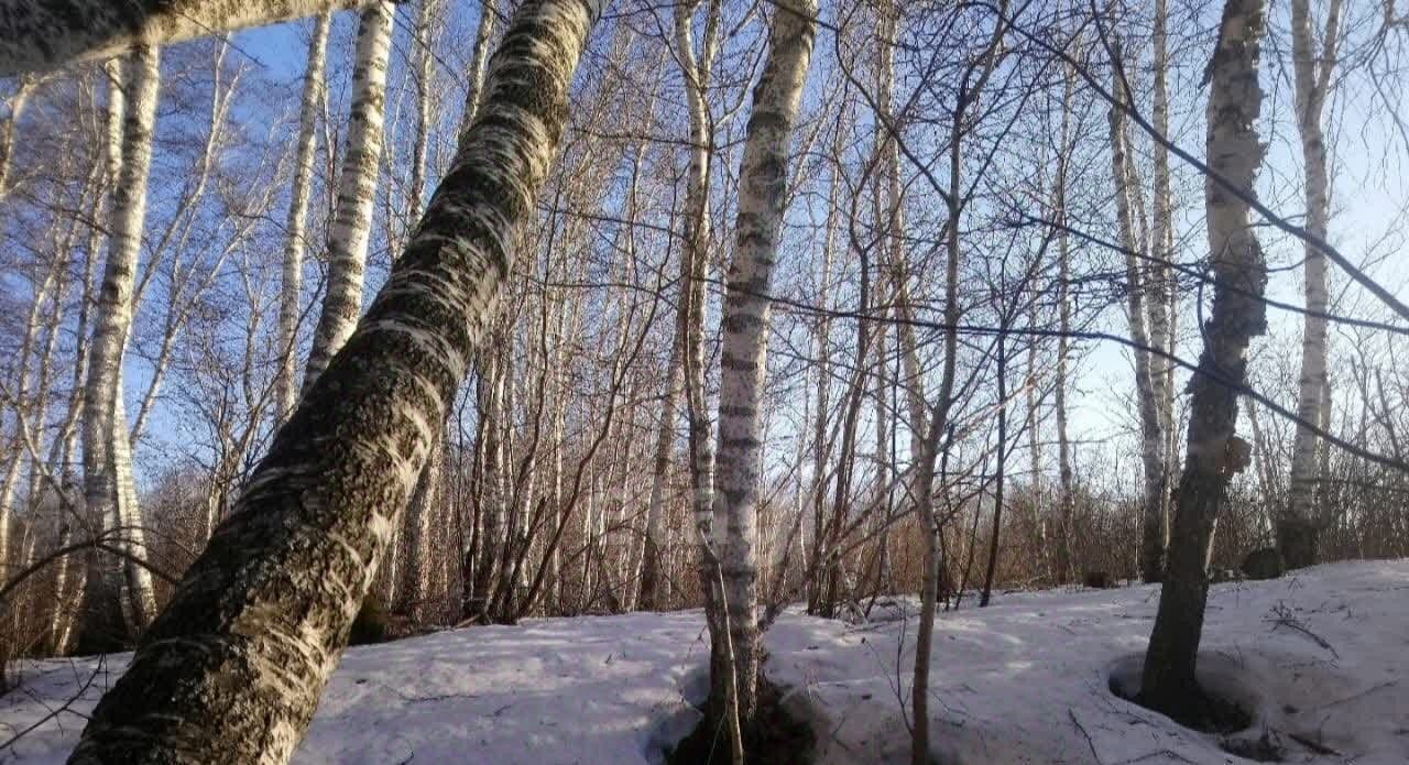 земля р-н Новосибирский с Каменка Каменский сельсовет фото 9