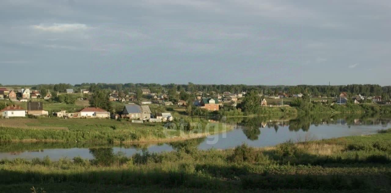 земля р-н Новосибирский с Каменка Каменский сельсовет фото 11