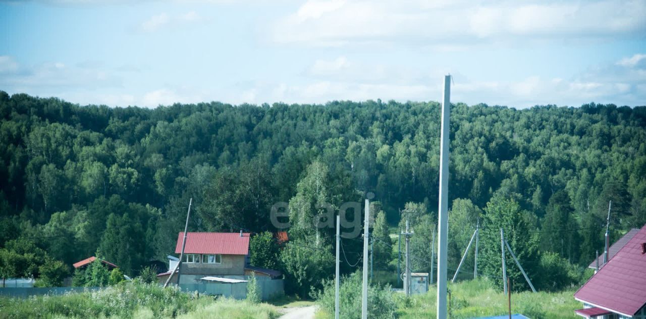 земля р-н Искитимский Морозовский сельсовет, Успех СПК фото 7