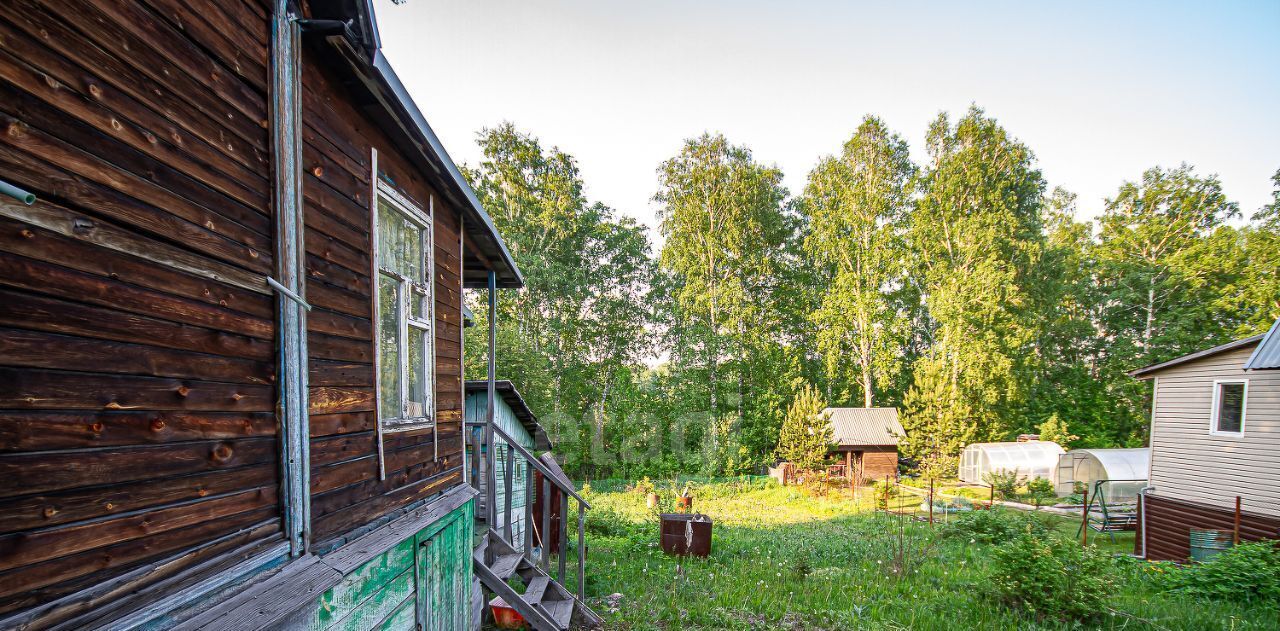 дом р-н Новосибирский снт Ромашка Раздольненский сельсовет фото 15