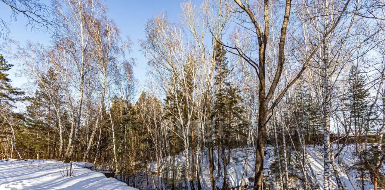 земля г Бердск снт Ива ул 1-я фото 30