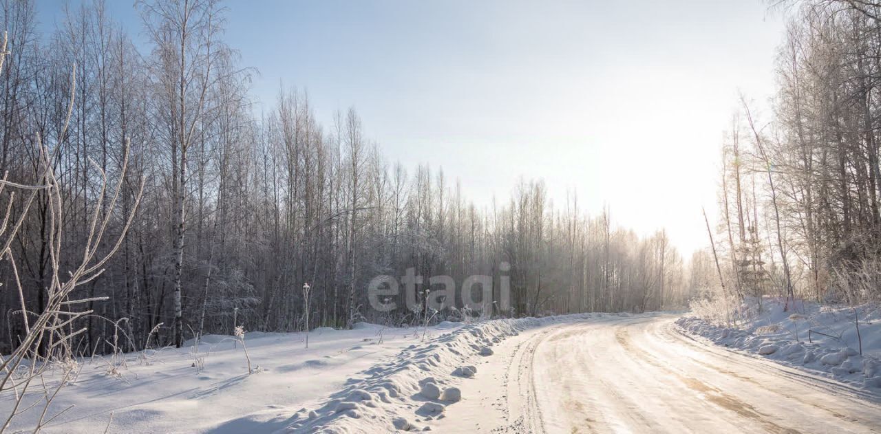 земля р-н Новосибирский Барышевский сельсовет, Ключи-5 СНТ фото 19