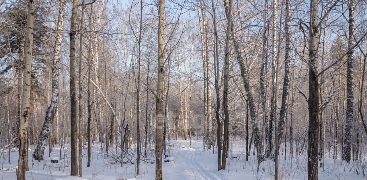 земля р-н Новосибирский Барышевский сельсовет, Ключи-5 СНТ фото 13