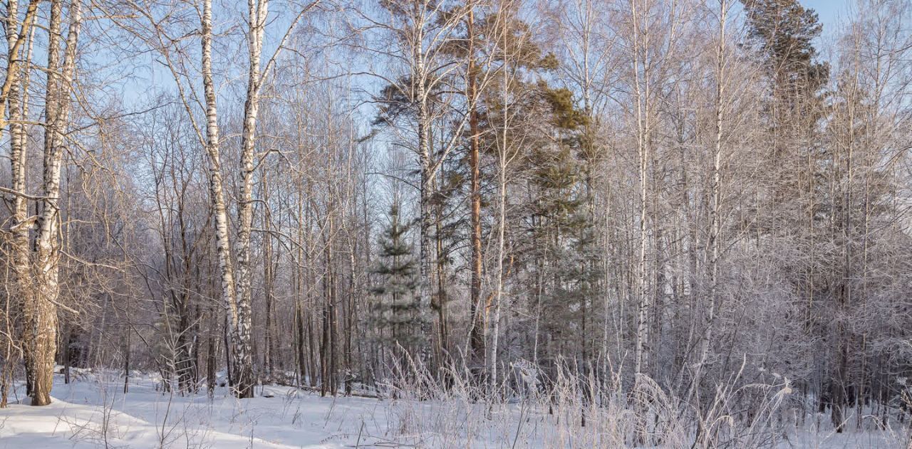 земля р-н Новосибирский Барышевский сельсовет, Ключи-5 СНТ фото 16