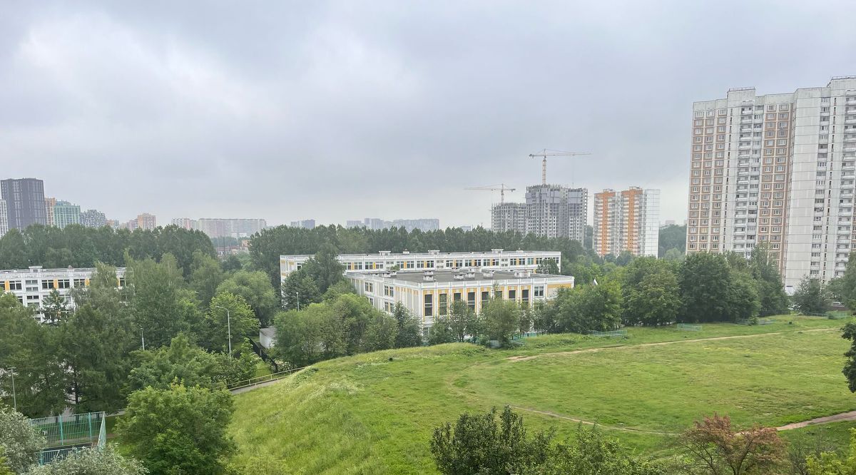 квартира г Москва ул Новопеределкинская 10к/1 направление Киевское (юго-запад) ш Боровское муниципальный округ Ново-Переделкино фото 33