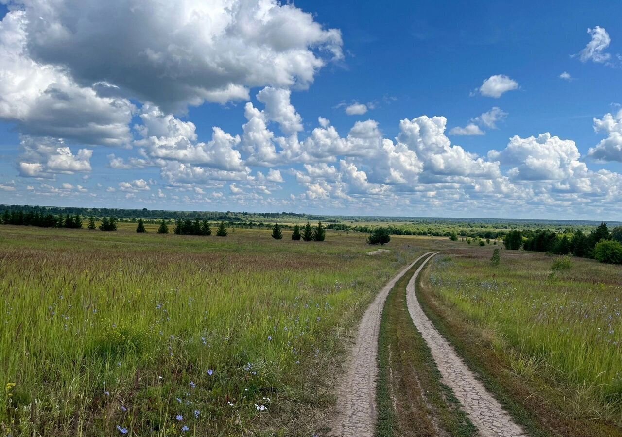 дом р-н Уржумский с Русский Турек ул Советская 26 Уржум фото 3