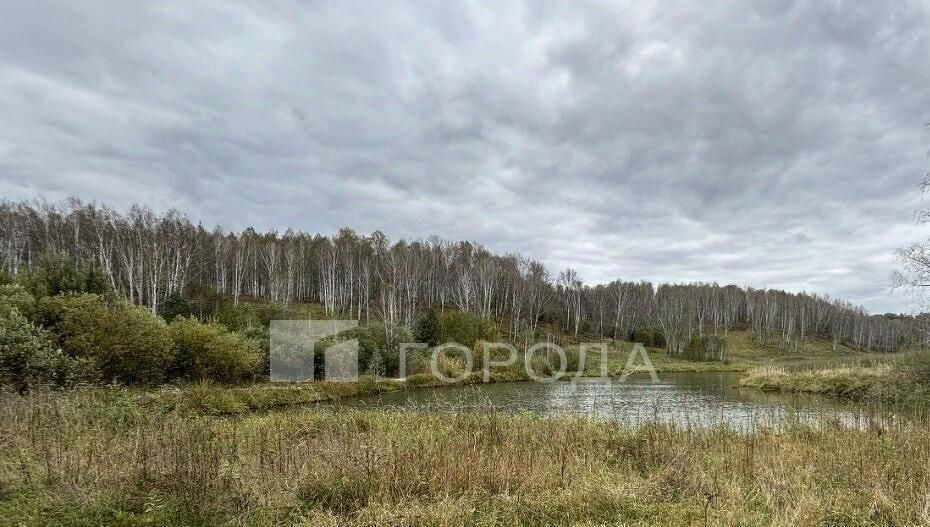 земля р-н Новосибирский снт тер.Ключи-4 Восточные Барышевский сельсовет, 417 фото 6