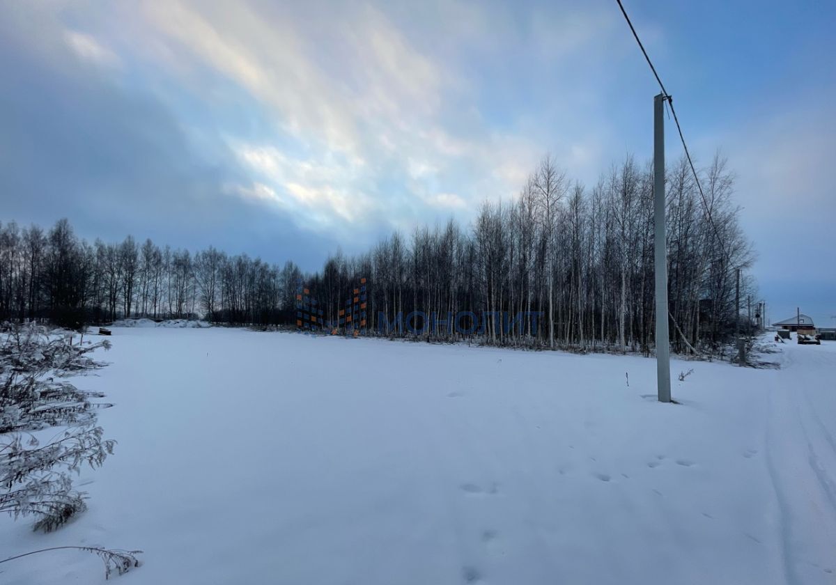 земля р-н Городецкий г Городец с. Строчково, Строчковская ул фото 3