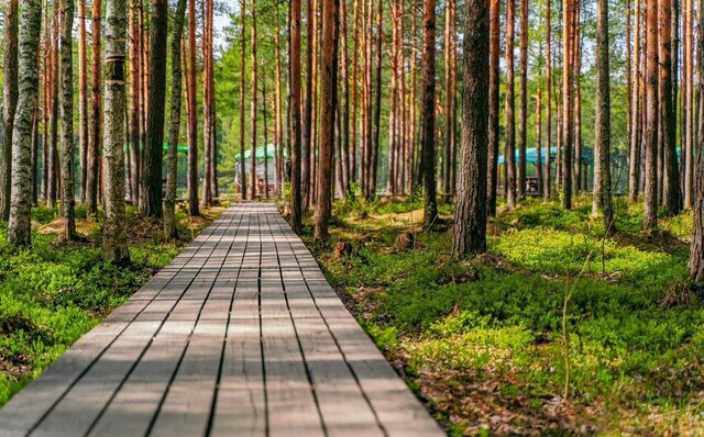 Мурманское шоссе, 14 км, Колтушское городское поселение, коттеджный пос. Коркинский ручей фото