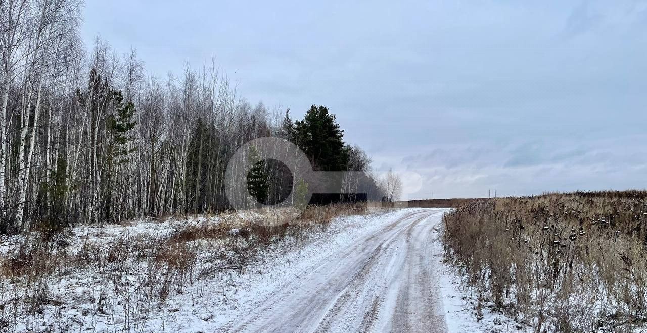 земля р-н Лаишевский с Габишево Республика Татарстан Татарстан, Габишевское сельское поселение, Казань фото 8